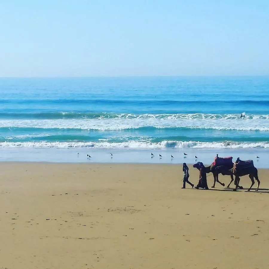 阿加迪尔Gypsy Surf Taghazout公寓 阿加迪尔